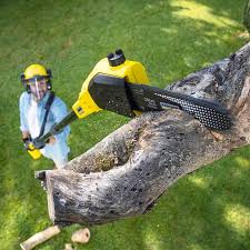 Best Lawn Mowing Services  in Massapequa, NY